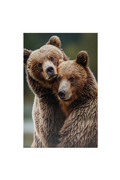 StoryGift Romania Tablou Canvas: Imaginea Unor Doi Ursi Plouati Imbratisati - Fotografie Artistica Si Dragost