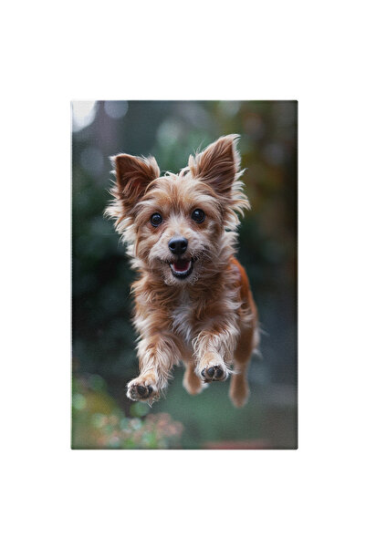 StoryGift Romania Tablou Canvas: Un Catelus Vesel Care Sare In Aer - Bucuria ...