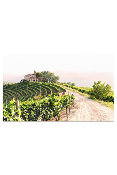 StoryGift Romania Tablou Canvas: Rasarit De Soare In Podgorie, Peisaj Rural