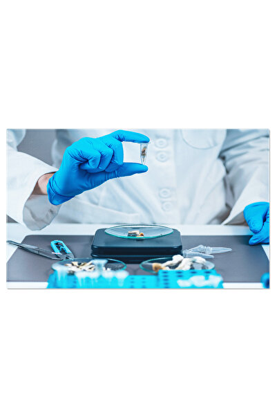 StoryGift Romania Tablou Canvas: Cercetator De Laborator Cu Ciuperci Hallucin...