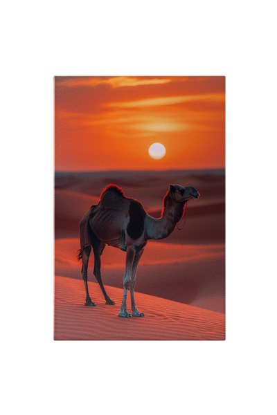 StoryGift Romania Tablou Canvas: Dromaderul Singuratic Soarele Căzut În Amurg Luminează Deșertul Liniștit Pictura