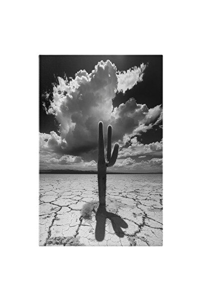 StoryGift Romania Tablou Canvas: Pustiul Din Deșert Și Cactus Cu Umbre- Fotog...
