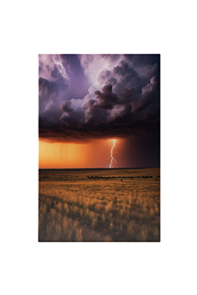 StoryGift Romania Tablou Canvas: Fotografie Care Surprinde O Furtuna In Depar...