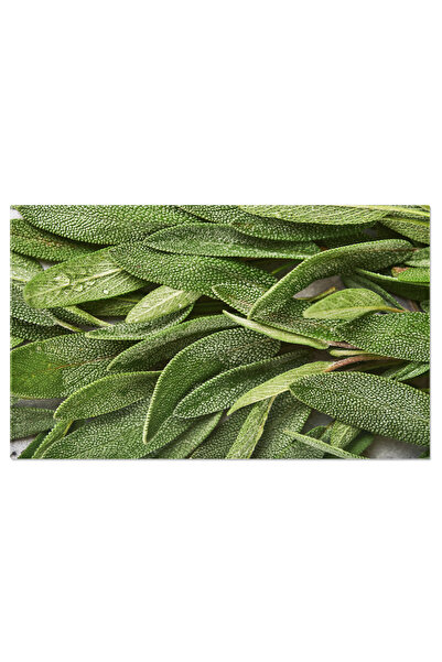 StoryGift Romania Tablou Canvas: Frunze Aromatice - Abstract Botanic