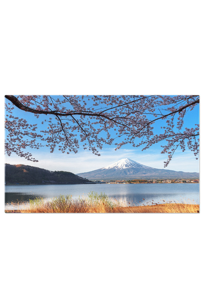 StoryGift Romania Tablou Canvas: Ciresii Infloriti - Flori, Japonia, Peisaj