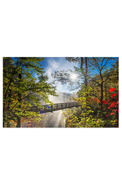 StoryGift Romania Tablou Canvas: Pod Intr-un Peisaj De Toamna