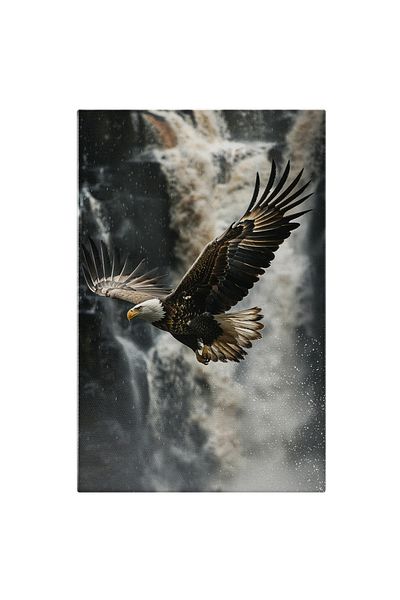 StoryGift Romania Tablou Canvas: Zborul Liber Al Vulturului Deasupra Cascadei Adânci Stropi De Apă Rece Pictura D