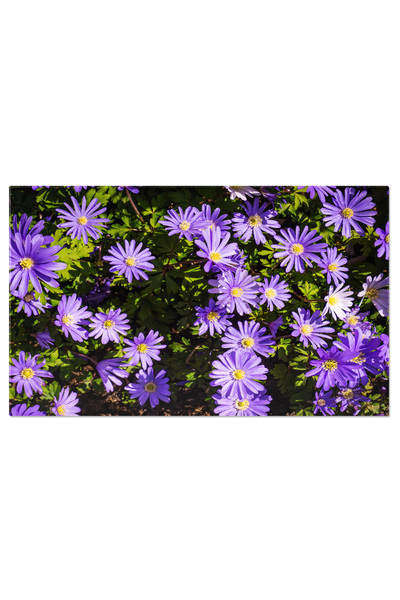 StoryGift Romania Tablou Canvas Fundal Floral Urbane Jungle Flori, Natura, Vi...