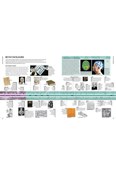Alfa Yayınları Beyin Kitabı & Beynin Yapısı, Görevi Ve Bozuklukları Üzerine Resimli Bir Rehber
