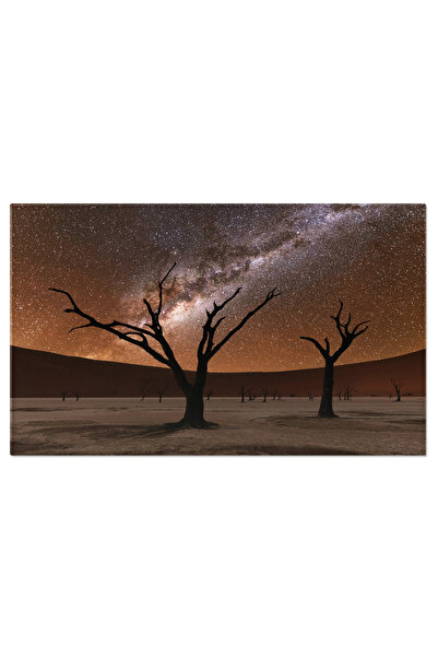 StoryGift Romania Tablou Canvas: Noapte Sub Calea Lactee In Namibia - Galaxy,...