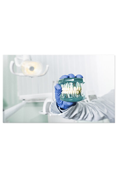 StoryGift Romania Tablou Canvas Profesionalism Si Ingrijire Dentist In Manusi...