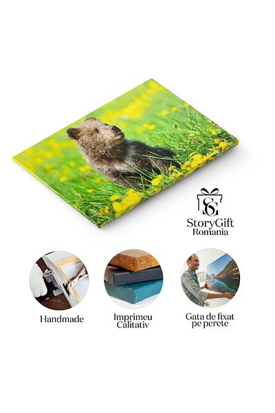 StoryGift Romania Tablou Canvas - Ursulet Maro Jucandu-se In Salbaticie: Privelisti Din Inima Padurii, Natura In