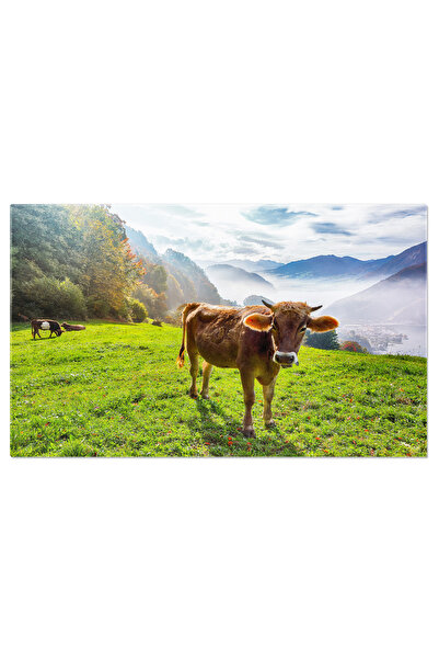 StoryGift Romania Tablou Canvas Priveliste Incitanta In Toamna Suburbiei Oras...