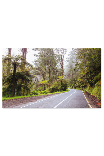 StoryGift Romania Tablou Canvas Drumul De La Yarra Junction La Noojee, Natura...