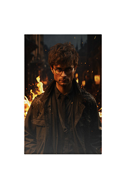 StoryGift Romania Tablou Canvas: Harry Potter Privind Nervos - Vrajitor Foc I...