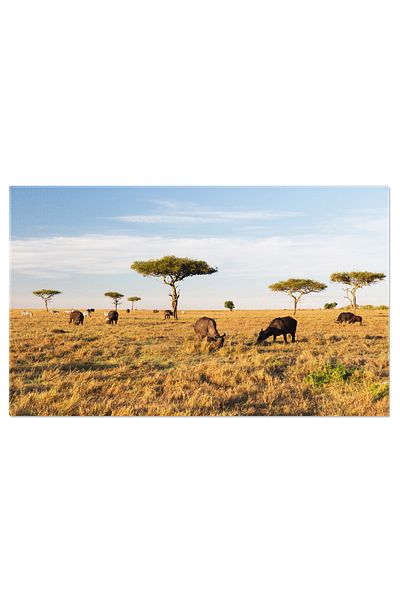 StoryGift Romania Tablou Canvas Bivolite De Savannah In Africa Bivol, Animale, Africa, Savana, Natura. 1049