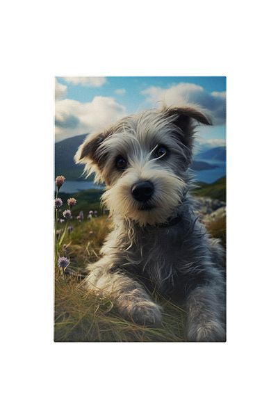 StoryGift Romania Tablou Canvas: Schnautzer Pitic În Câmp- Rase De Câini Și Animale De Companie Pictura Digitala