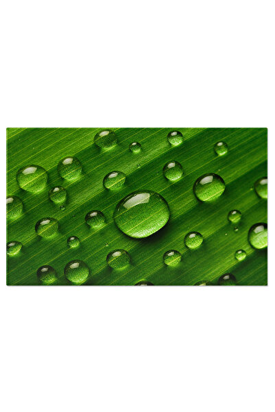 StoryGift Romania Tablou Canvas Picaturi Multe De Apa Pe Frunzele De Banan O ...