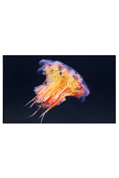 StoryGift Romania Tablou Canvas Sub Apa Oceanului Arctic - Explorand Vietuito...