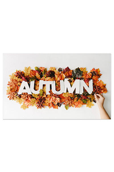 StoryGift Romania Tablou Canvas - Arta Si Culoare Toamna In Padure