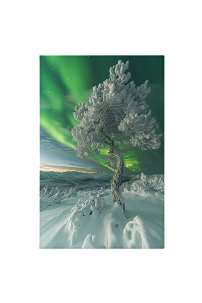 StoryGift Romania Tablou Canvas: Sufletul Înghețat Al Naturii La Polul Nord Și Cerul Verde Splendid Înstelat Pict