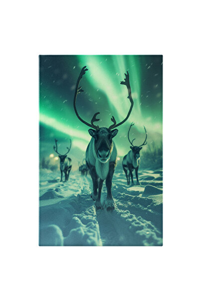 StoryGift Romania Tablou Canvas: Mulțimea De Cerbi Polari Se Bucură De Priveliștea Reflectată A Cerului În Culori