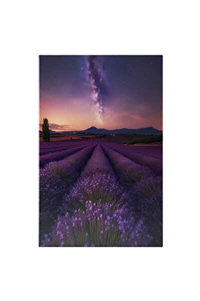 StoryGift Romania Tablou Canvas: Lavandă Răcorită De Căderea Serii Simetrie Î...