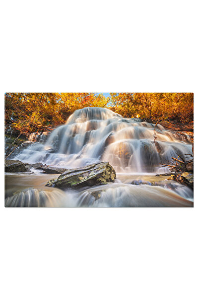 StoryGift Romania Tablou Canvas - Caderea De Apa In Jungla Tropicala: Frumuse...