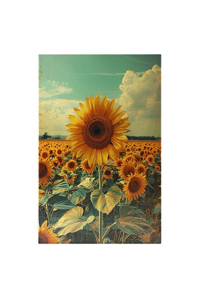 StoryGift Romania Tablou Canvas: Floarea-soarelui, Cea Mai Cultivata Planta Pentru Semintele Bogate In Ulei, Sun