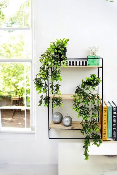 Akkoyunlu home 2'li Saksıda Yapay Sarmaşık Çiçek(32 cm)