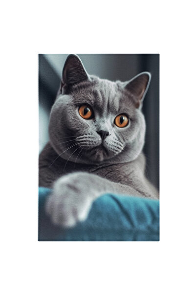 StoryGift Romania Tablou Canvas: Pisica British Shorthair - Atenta In Casa Pi...