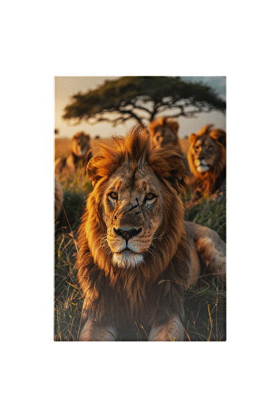 StoryGift Romania Tablou Canvas: Regele Junglei Leul Cu O Cicatrice Neagra Pe...