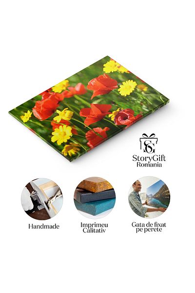 StoryGift Romania Tablou Canvas Splendoare Florala Camp De Maci Rosii In Italia, Detalii Minutioase Si Imagini De
