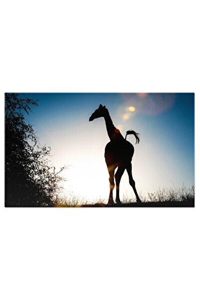 StoryGift Romania Tablou Canvas: Silueta Gratioasa A Unei Girafe In Peisajul ...