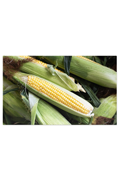 StoryGift Romania Tablou Canvas Spice De Porumb Dulce Galben Proaspat Recolta...