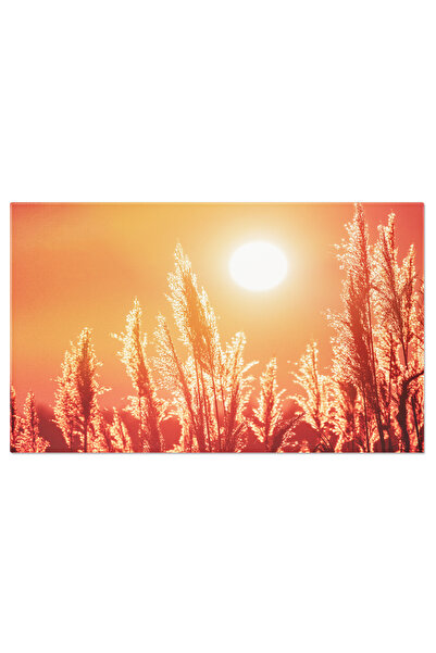 StoryGift Romania Tablou Canvas Iarba Luminata De Soare In Timpul Apusului, N...