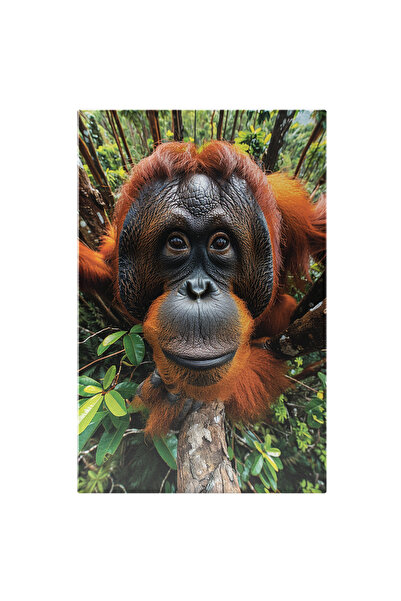 StoryGift Romania Tablou Canvas Maimuța Cocoțată În Pomul Înalt Libertatea Sălbatică Speciile Junglei , Pictura D