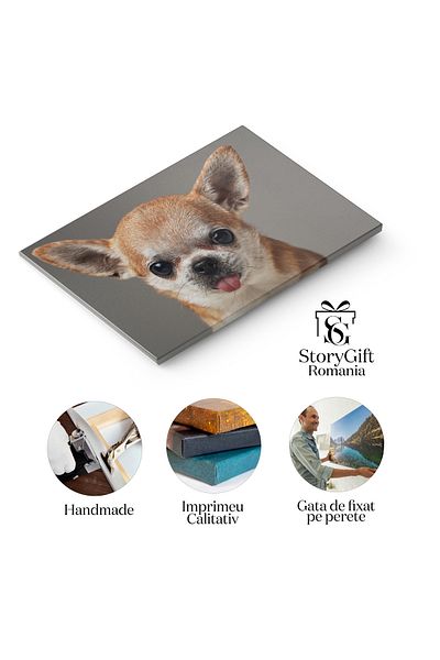 StoryGift Romania Tablou Canvas - Caine Mexican Chiwawa Cu Limba Scoasa - Simpatie Si Adorabilitate