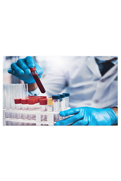 StoryGift Romania Tablou Canvas Munca Profesionala A Oamenilor De Stiinta