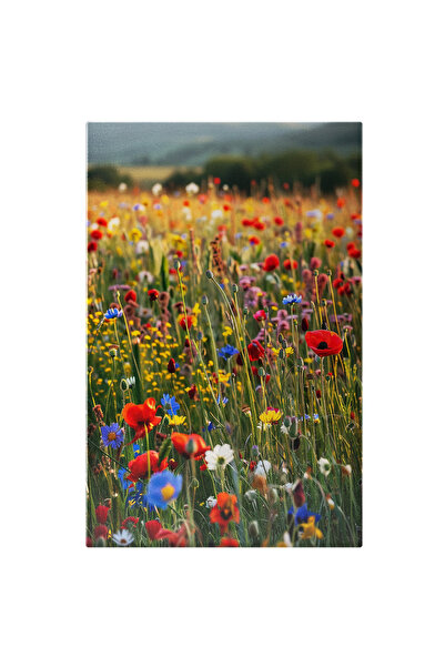 StoryGift Romania Tablou Canvas 100 x 70CM Câmp de Maci și alte Flori și Plan...