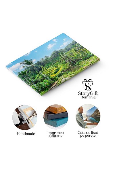 StoryGift Romania Tablou Canvas Tegalalang, Terasele de Orez din Ubud, Bali, agricultura, Asia, terase de orez 44