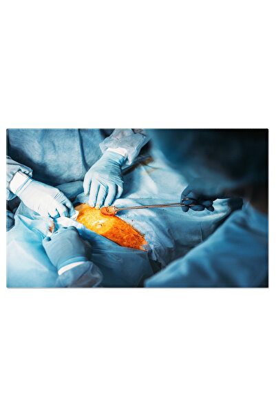 StoryGift Romania Tablou Canvas - Maini Medicale La Lucru: Profesionisti In S...