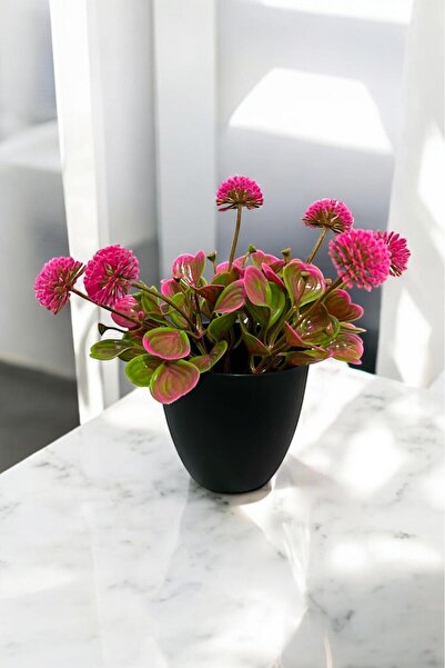 Sezka Life Pembe Tomurcuk Çiçeği Yapay Çiçek Saksı