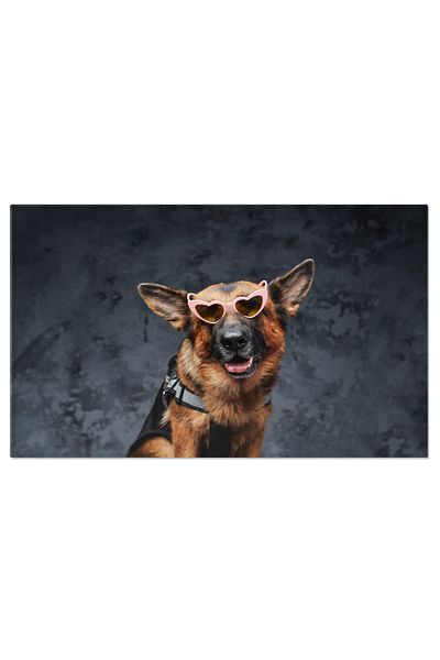 StoryGift Romania Tablou Canvas Cu Ciobanesc German - Ochelari De Soare Canini