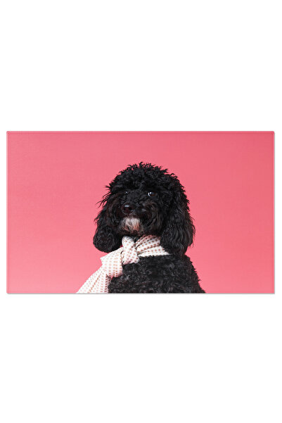 StoryGift Romania Tablou Canvas Caine Pudel Negru Pe Fundal Roz Eleganta Canina. Caine Pudel, Negru, Roz, Elegant