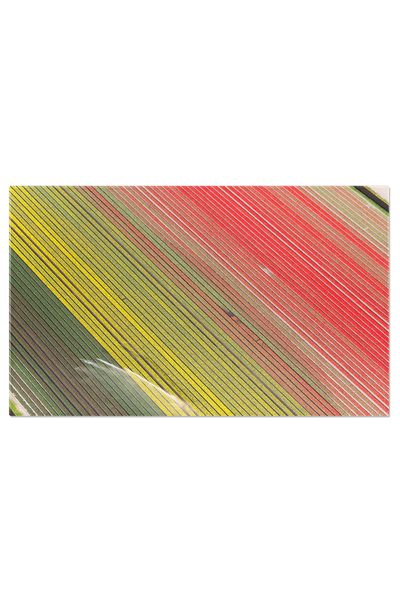 StoryGift Romania Tablou Canvas: Campul Plin De Flori Colorate, Simbol Al Mun...