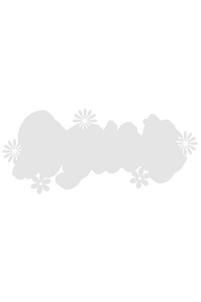 StoryGift Romania Sticker Exterior cu floricele si mesaj care te indeamna sa ...