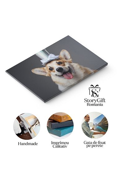 StoryGift Romania Tablou Canvas Caine Fericit Cu Palarie, Rasa Pura, Comic Adorabil, Funda Alba, Funda Portocalie
