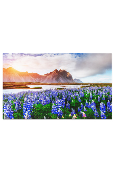 StoryGift Romania Tablou Canvas - Primavara Infloritoare - Lupini Albastri In...