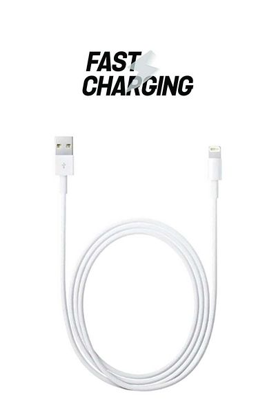 Generic Lightning Data Sync Charging USB Cable White/Silver